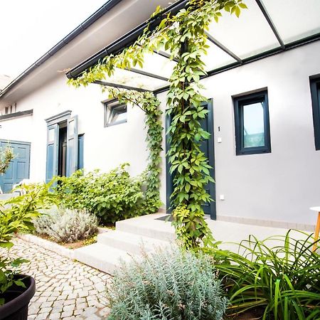 Apartmani Sterija Novi Sad Eksteriør billede